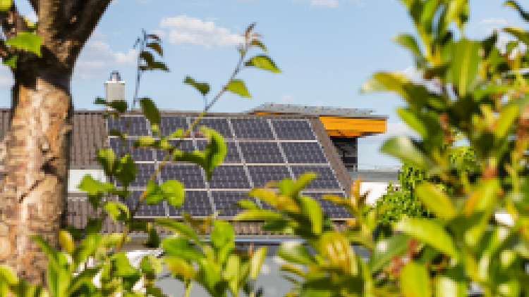 Phase 3c - Monitoring Reports